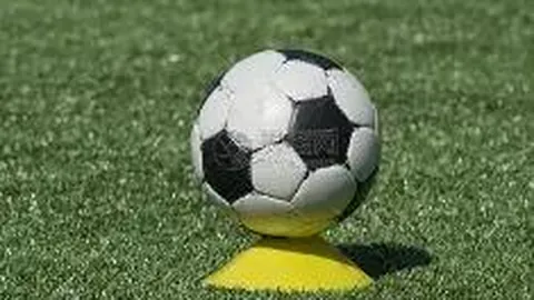 nba买球网站 资讯 102855 udo